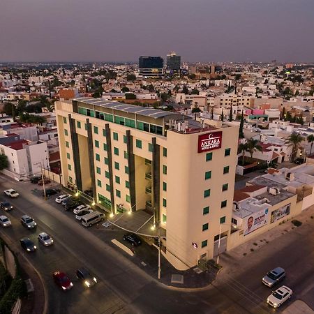 Hotel Ankara "Las Lomas" Σαν Λουίς Ποτοσί Εξωτερικό φωτογραφία