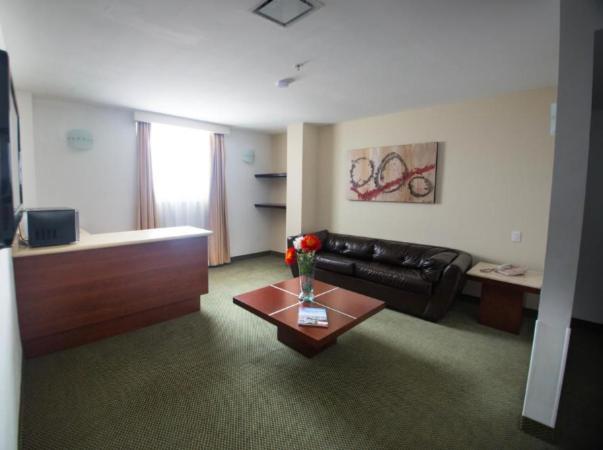 Hotel Ankara "Las Lomas" Σαν Λουίς Ποτοσί Εξωτερικό φωτογραφία