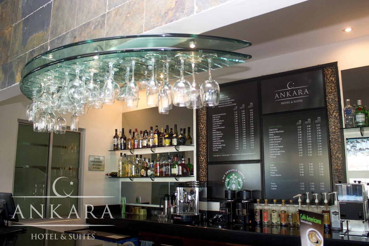 Hotel Ankara "Las Lomas" Σαν Λουίς Ποτοσί Εξωτερικό φωτογραφία