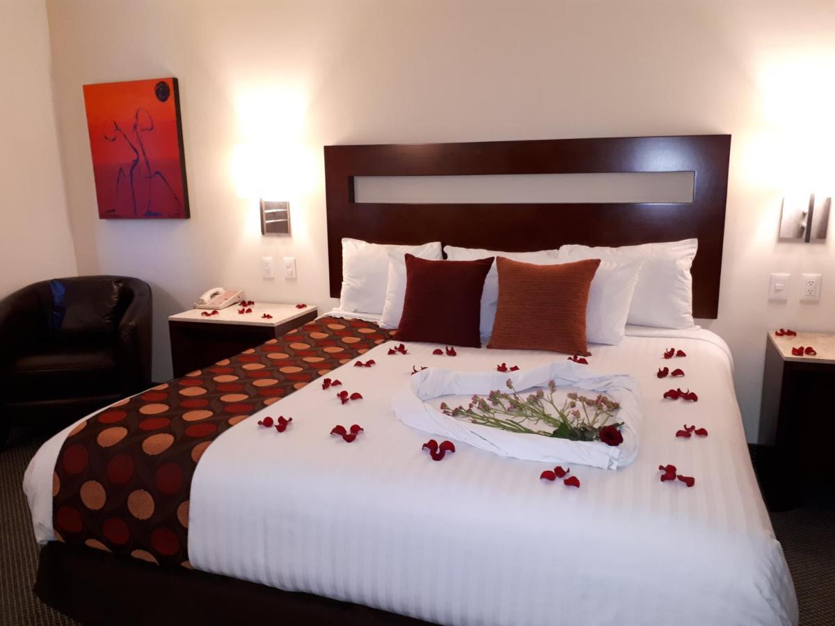 Hotel Ankara "Las Lomas" Σαν Λουίς Ποτοσί Εξωτερικό φωτογραφία